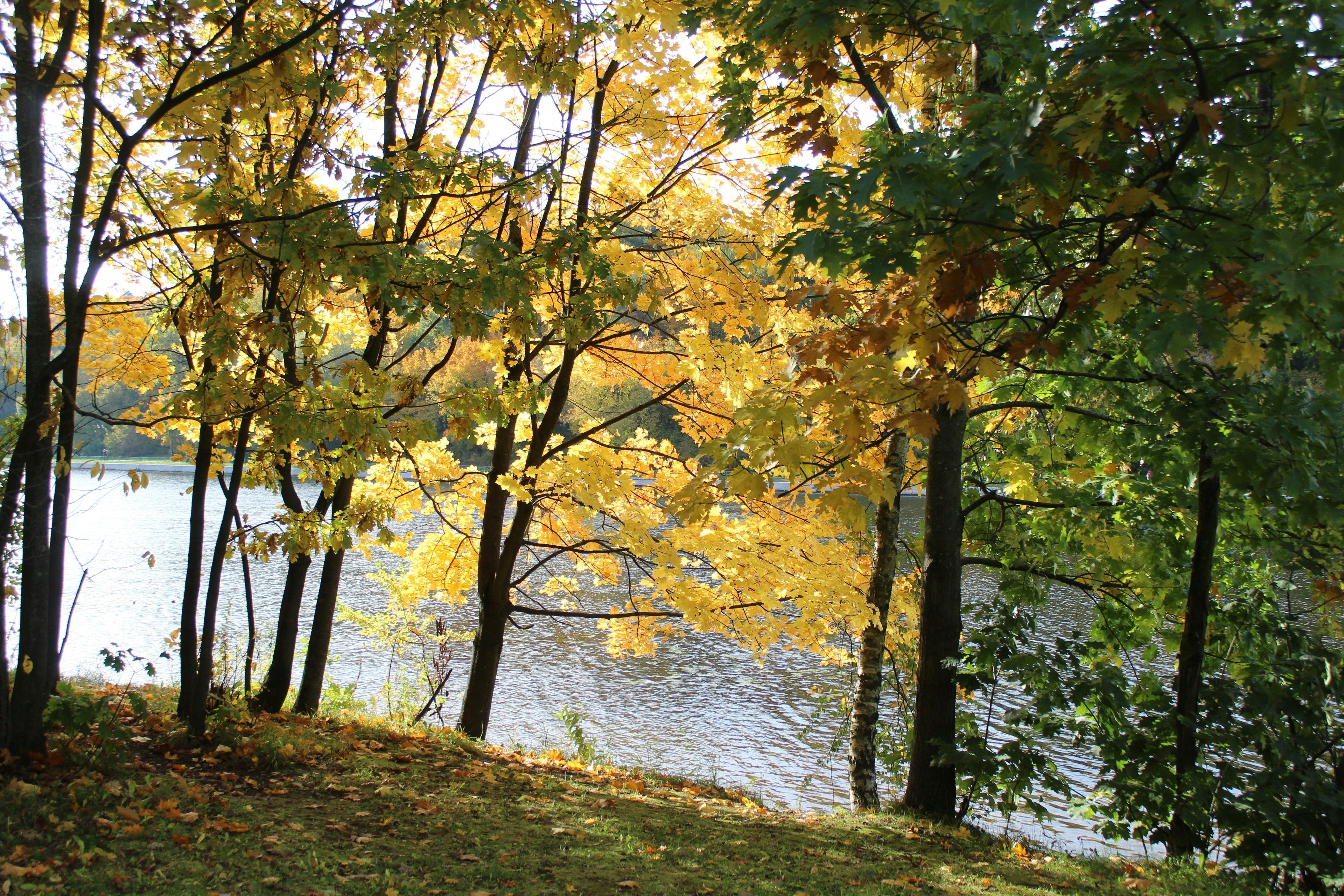 Soaking in Fall Scenery