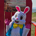 The Maiden Rock Area Community Association