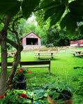 |Liberty Tree Farm