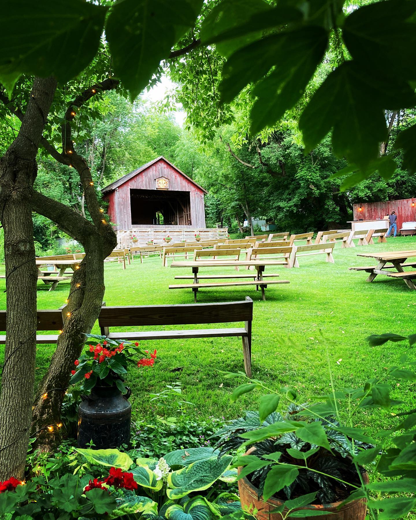|Liberty Tree Farm