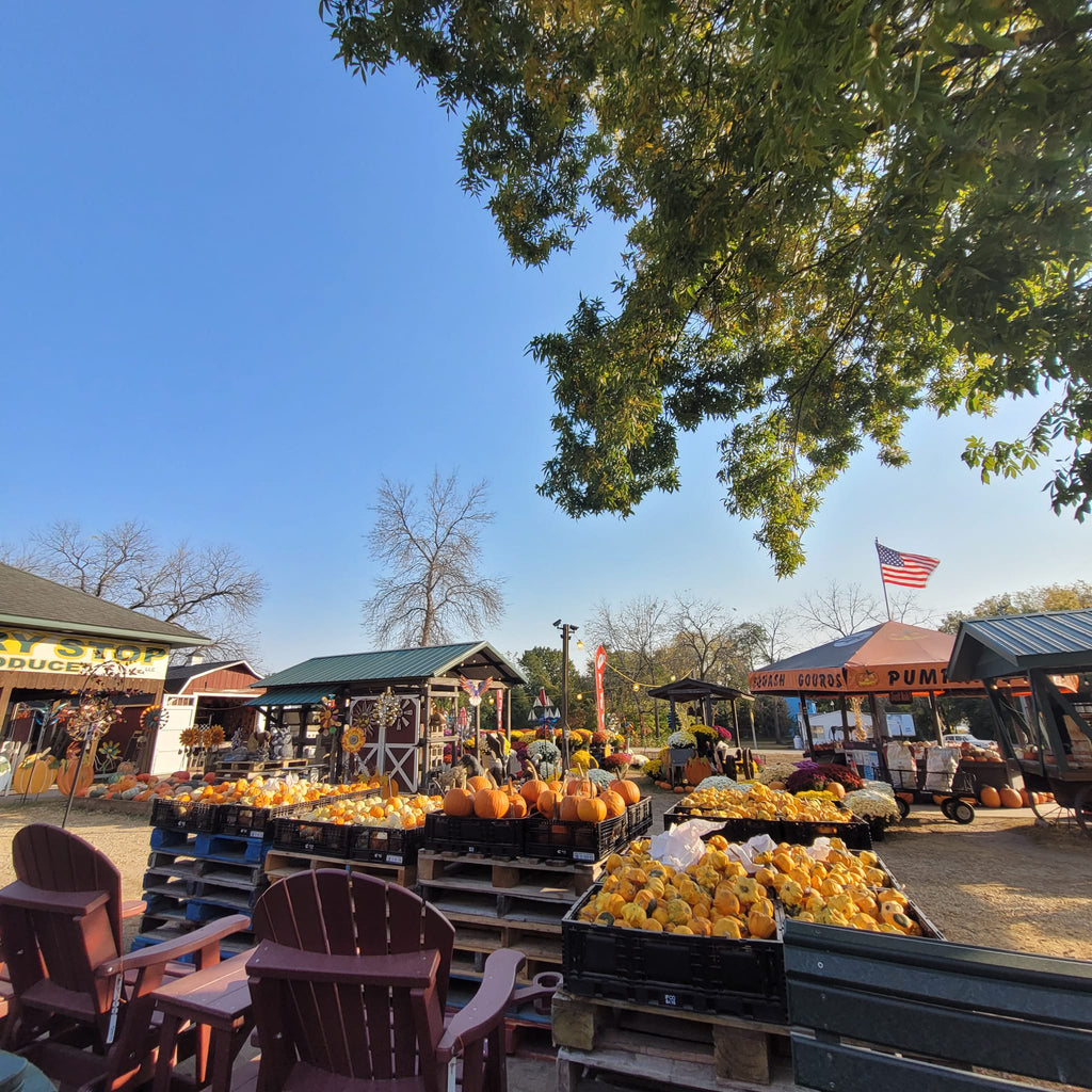 The Country Stop of Pepin