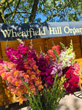 |Wheatfield Hill Organics