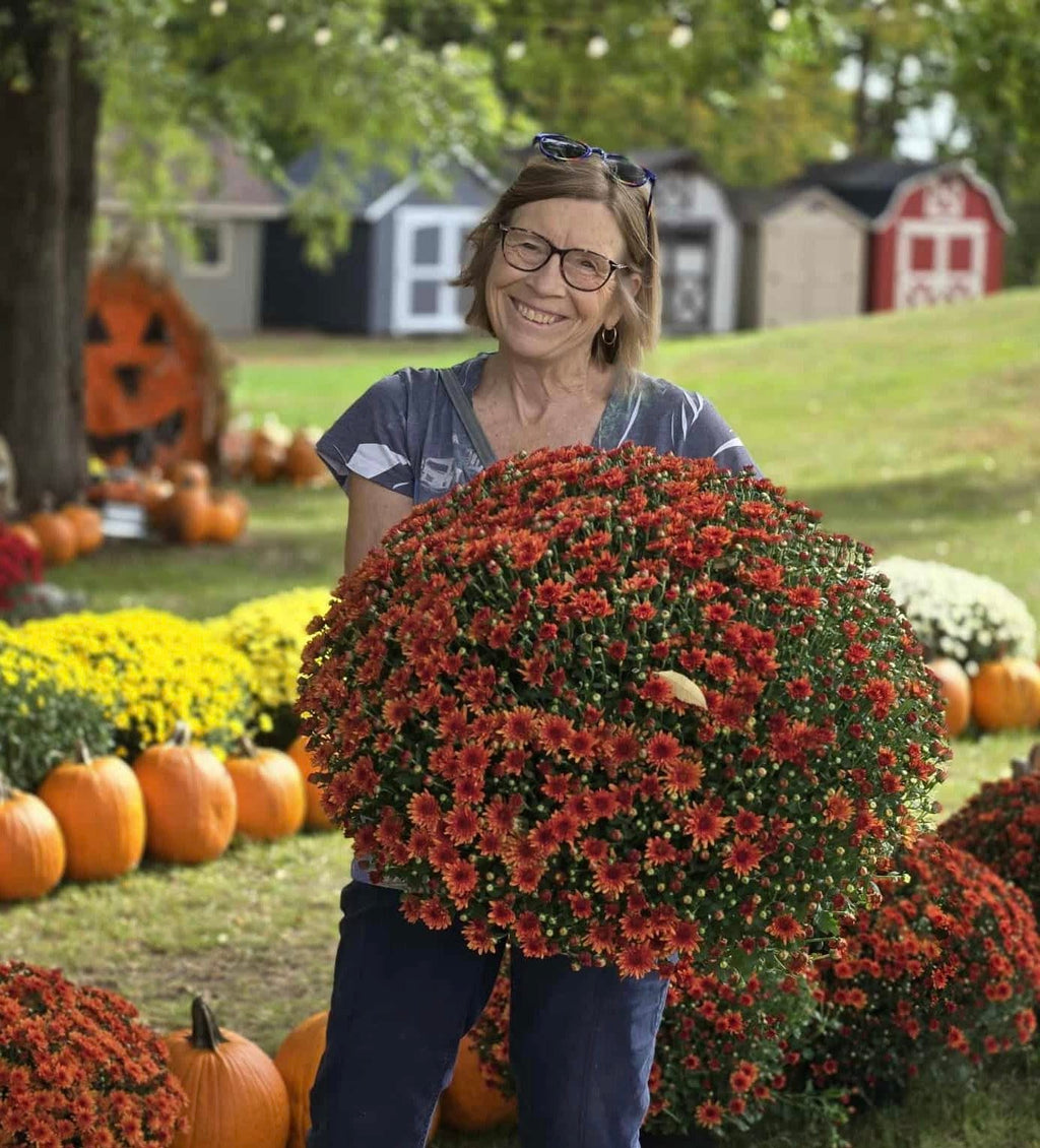 Pepin's Rusty Peddler