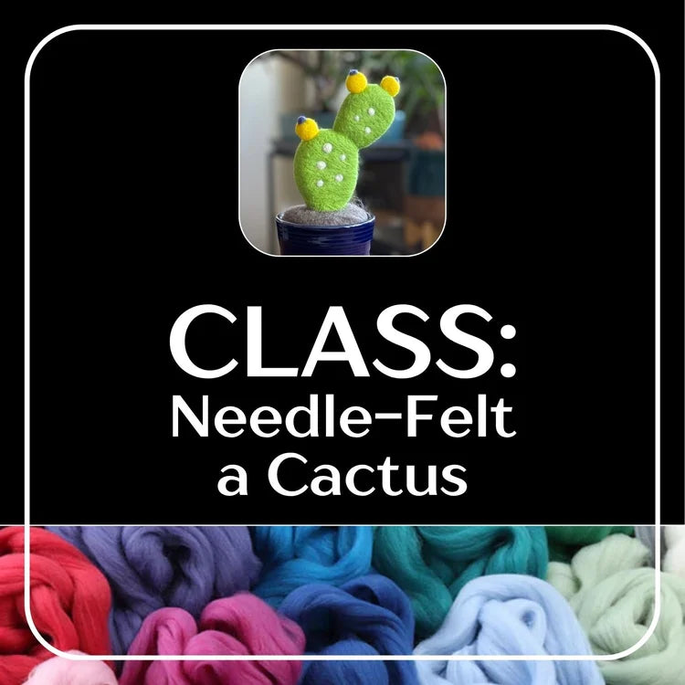 20260523 Needle -Felting Make a Cactus Class