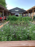 |Stone Barn Pizza