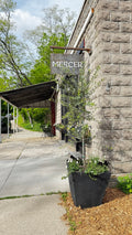 Mercer