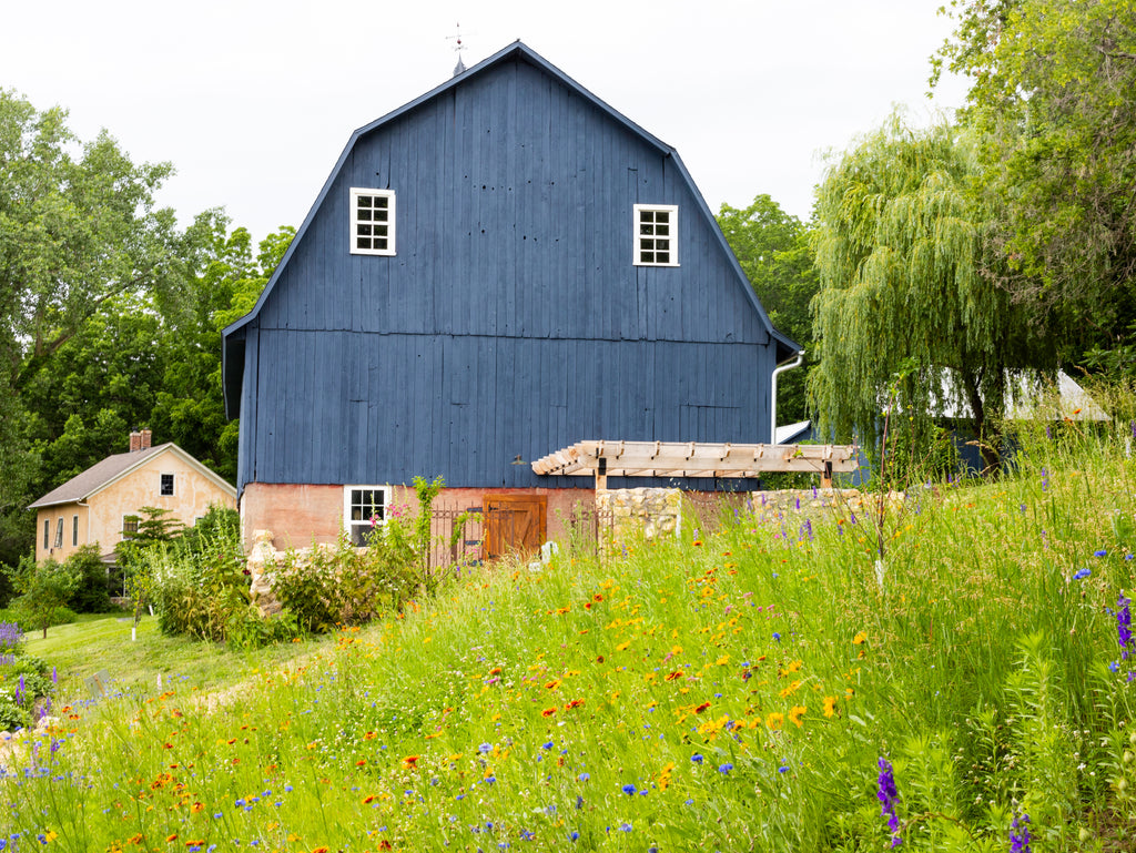 Lavender Bluff Farm Events