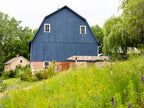 Lavender Bluff Farm Events