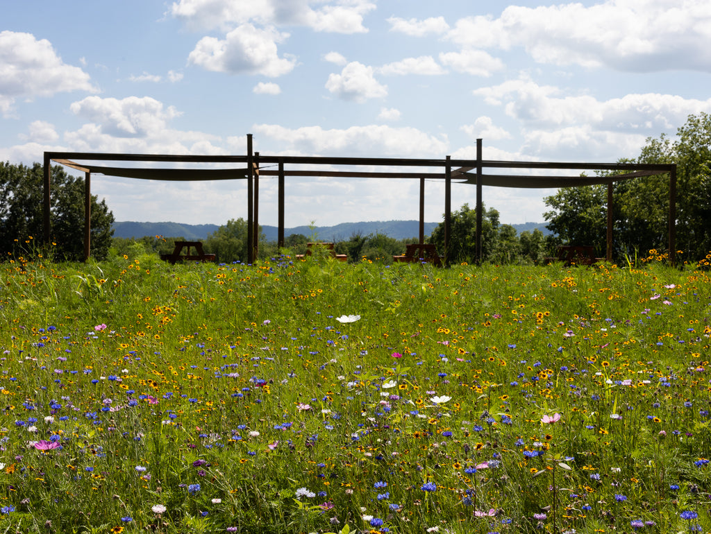 Lavender Bluff Farm Events