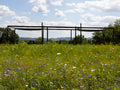 Lavender Bluff Farm Events