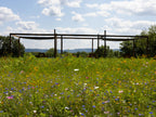 Lavender Bluff Farm Events