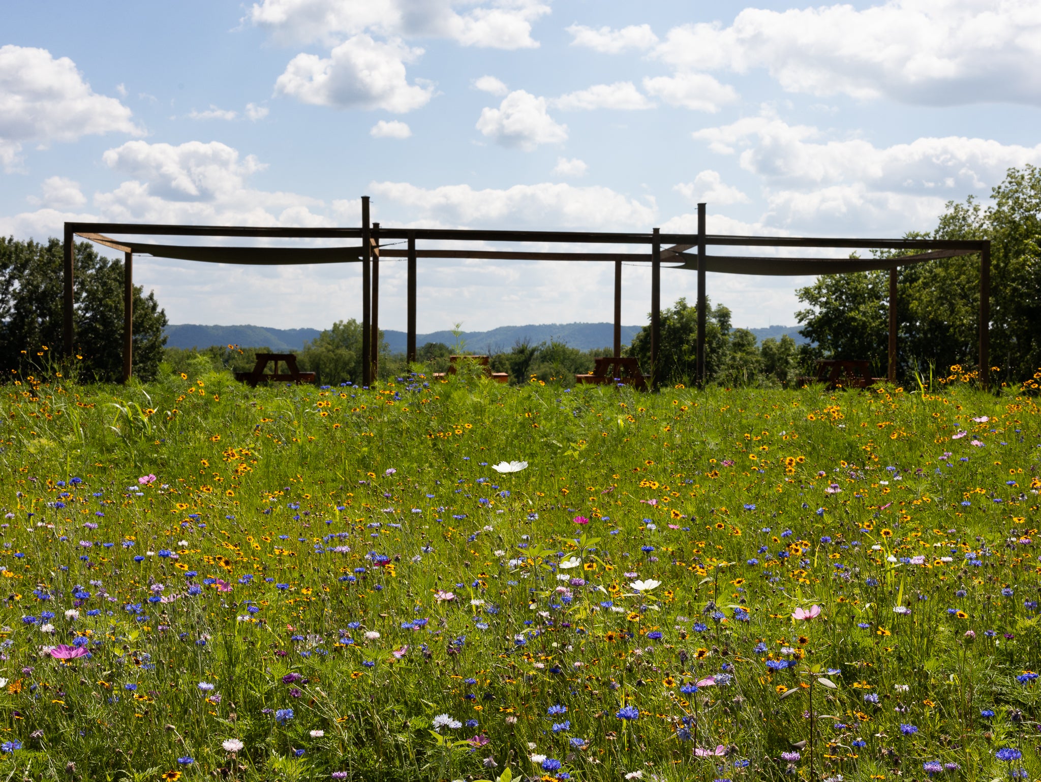 Lavender Bluff Farm Events