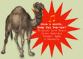 20260923 Monthly Hump Day Pop-up! with the Mahon Brothers