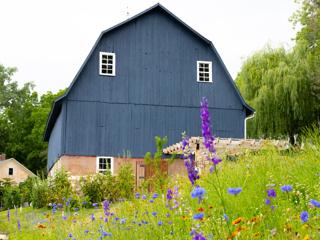 Lavender Bluff Farm