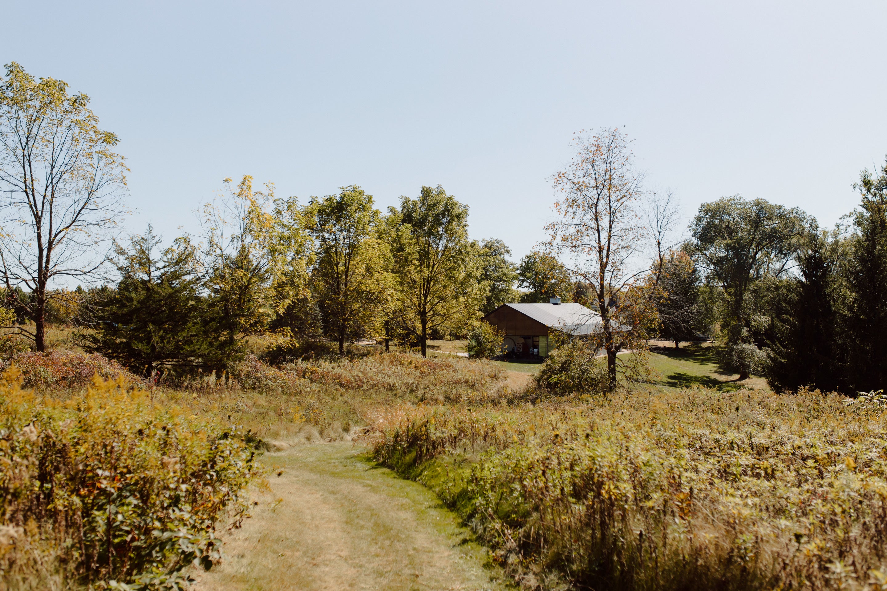 Maidenwood Weddings & Events