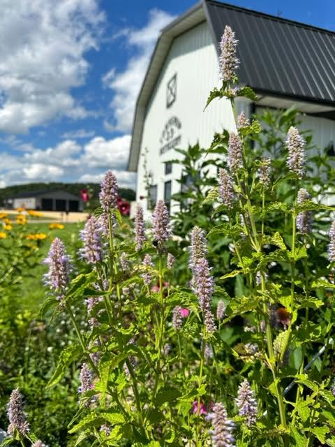 Township 23 Distillery